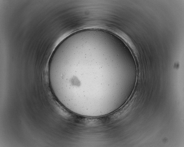 X0000099531242200806061424