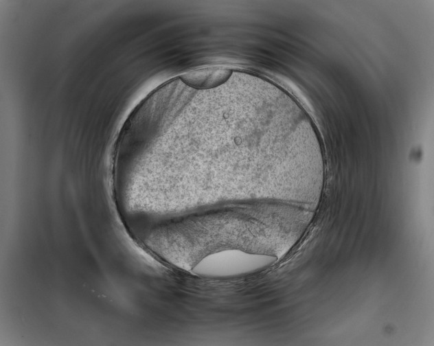 X0000099531243200806061424