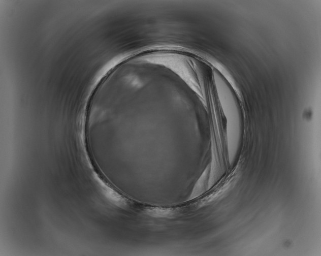 X0000099531245200806061424