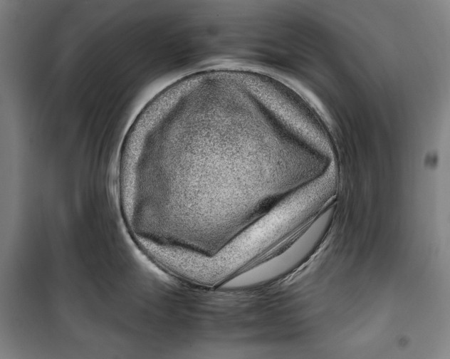 X0000099531247200806061424