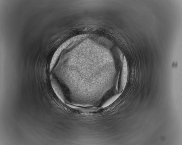 X0000099531250200806061423