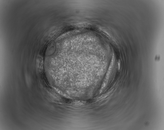 X0000099531251200806061423