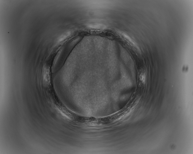 X0000099531252200806061423