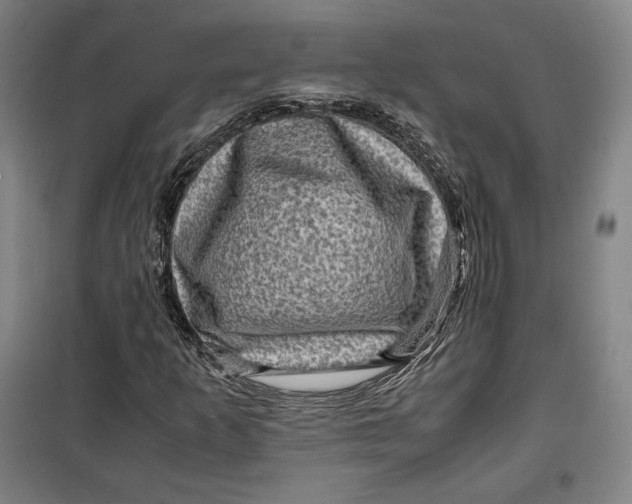 X0000099531253200806061423