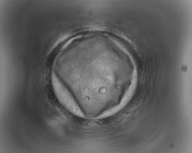 X0000099531255200806061423