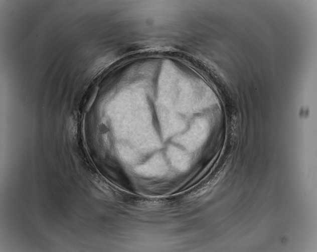 X0000099531257200806061423