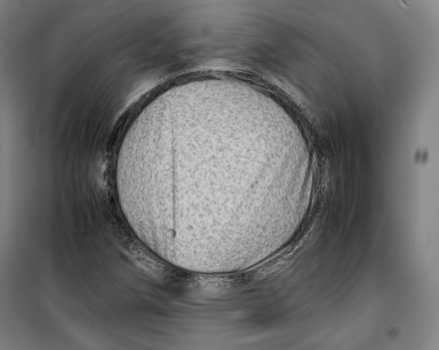 X0000099531258200806061423