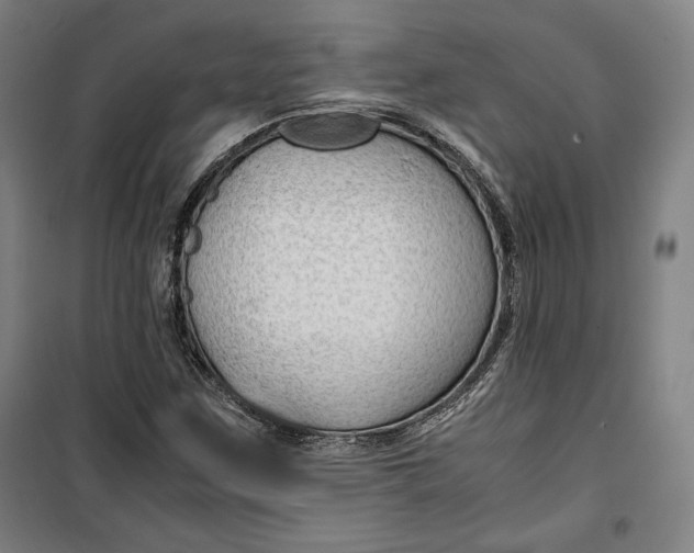 X0000099531259200806061423