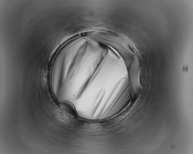 X0000099531260200806061423