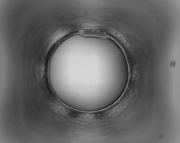 X0000099531261200806061423