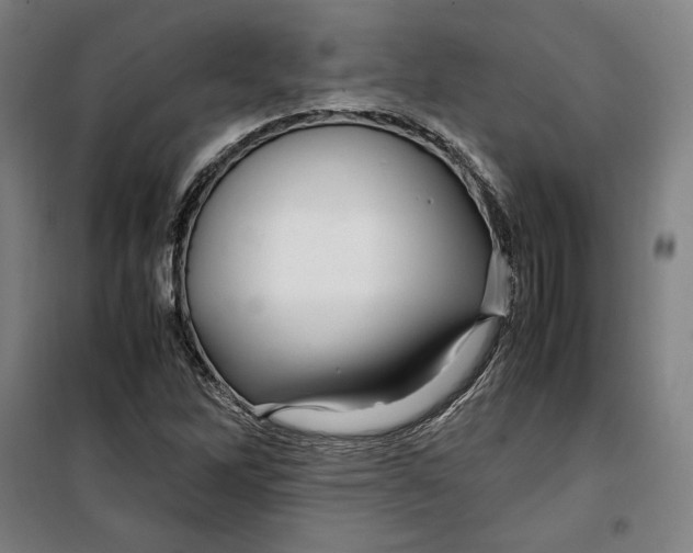 X0000099531262200806061423