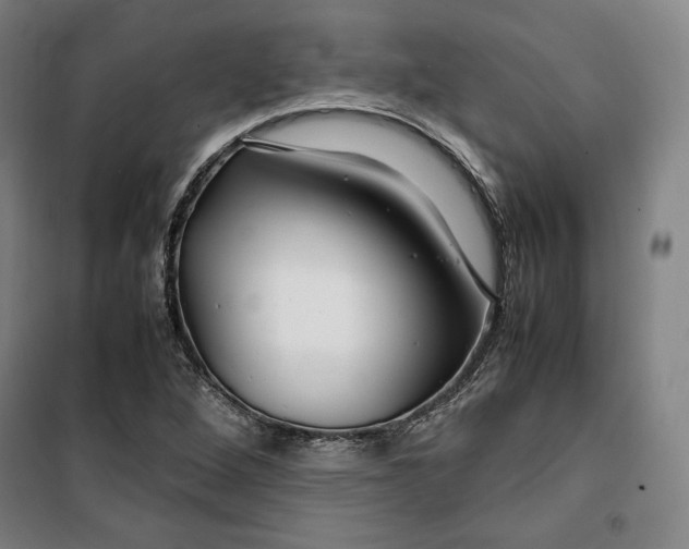 X0000099531264200806061423