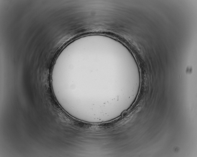 X0000099531265200806061423