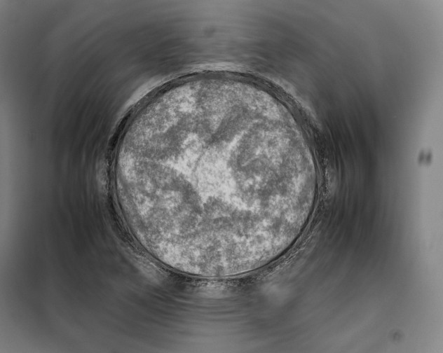 X0000099531266200806061423