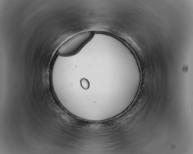 X0000099531268200806061423