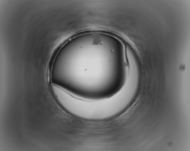 X0000099531269200806061423