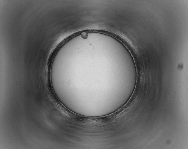 X0000099531270200806061423