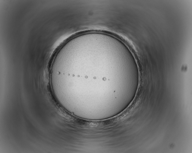 X0000099531271200806061423