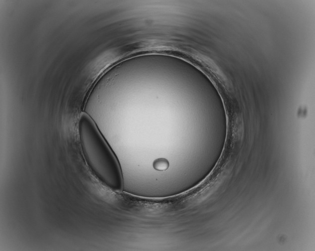 X0000099531273200806061423