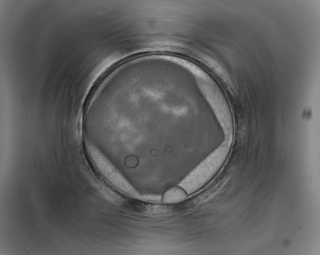 X0000099531275200806061423