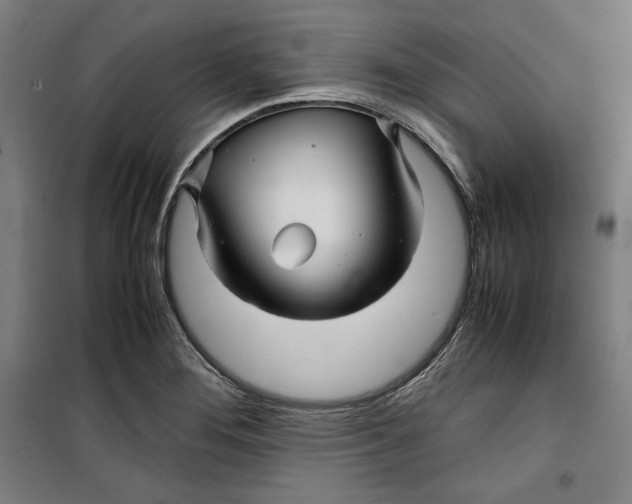 X0000099531276200806061423