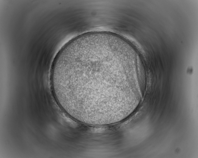 X0000099531278200806061423