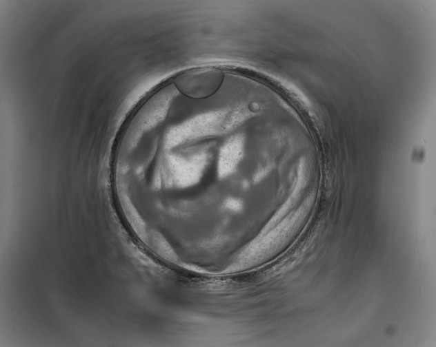 X0000099531279200806061423