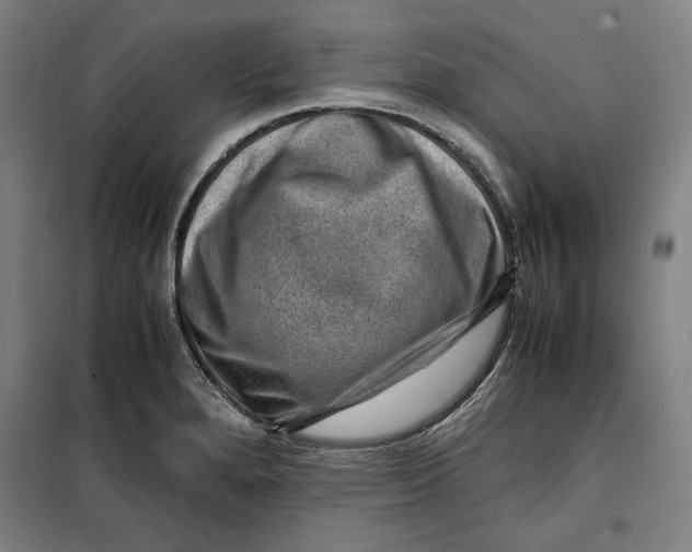 X0000099531280200806061423