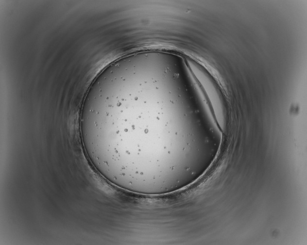 X0000099531281200806061423