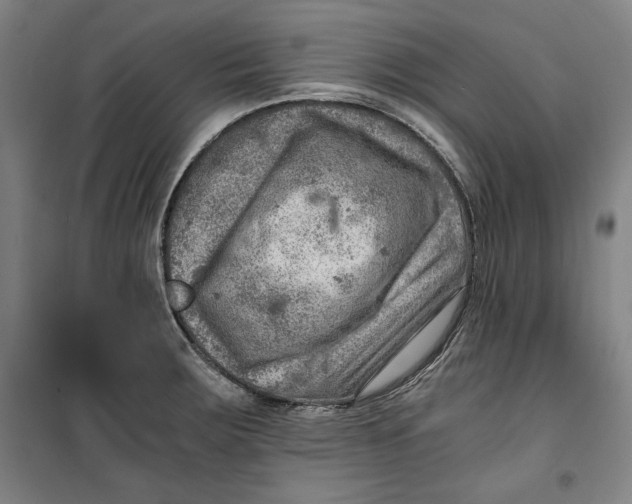 X0000099531283200806061423