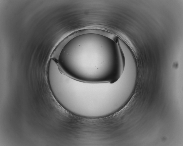 X0000099531284200806061423