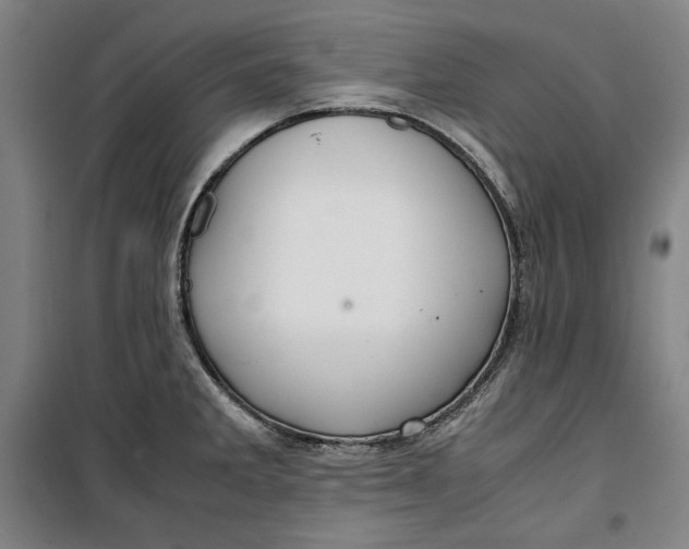 X0000099531285200806061423