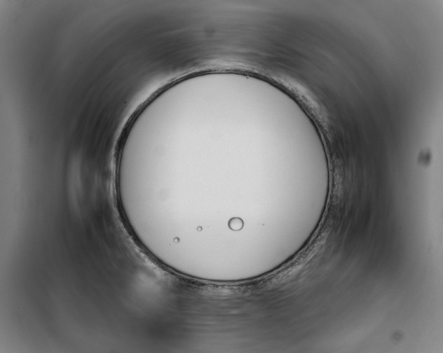 X0000099531286200806061423