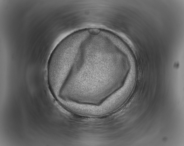 X0000099531287200806061423