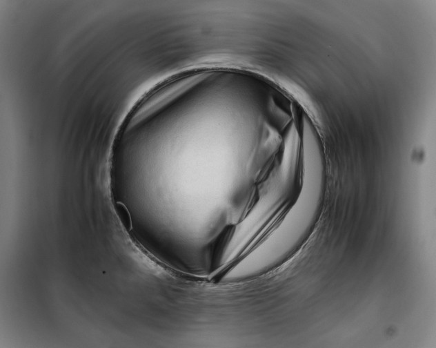 X0000099531288200806061423