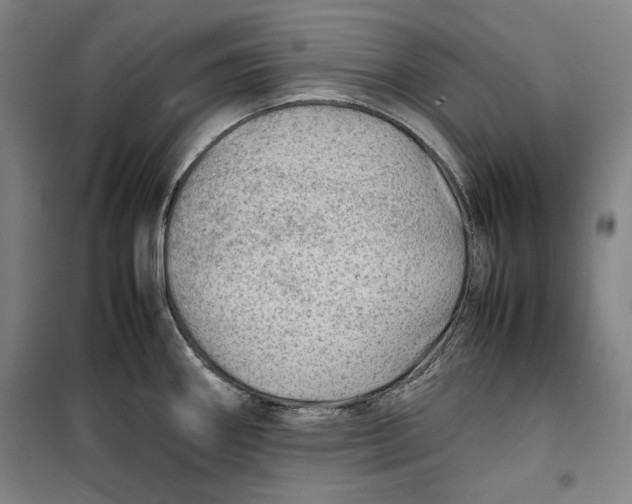 X0000099531290200806061423