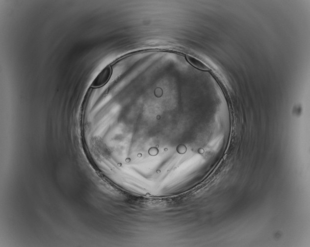 X0000099531291200806061423