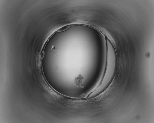 X0000099531292200806061423