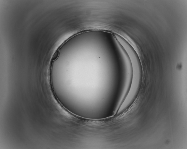 X0000099531293200806061423