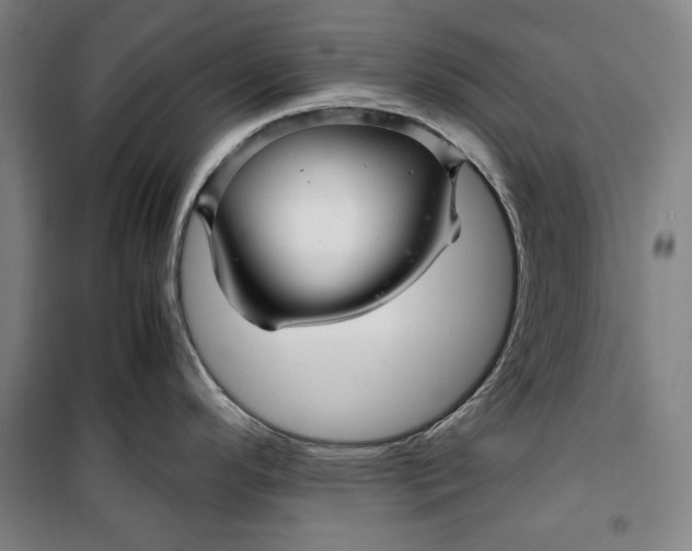 X0000099531296200806061423