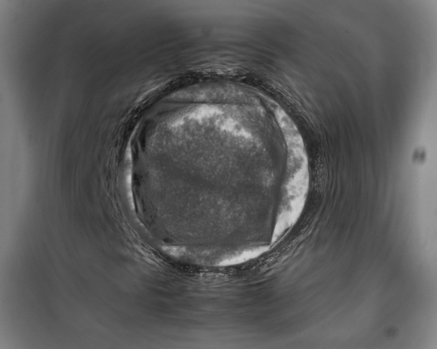 X0000099531297200806061422