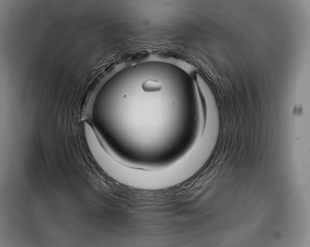 X0000099531298200806061422