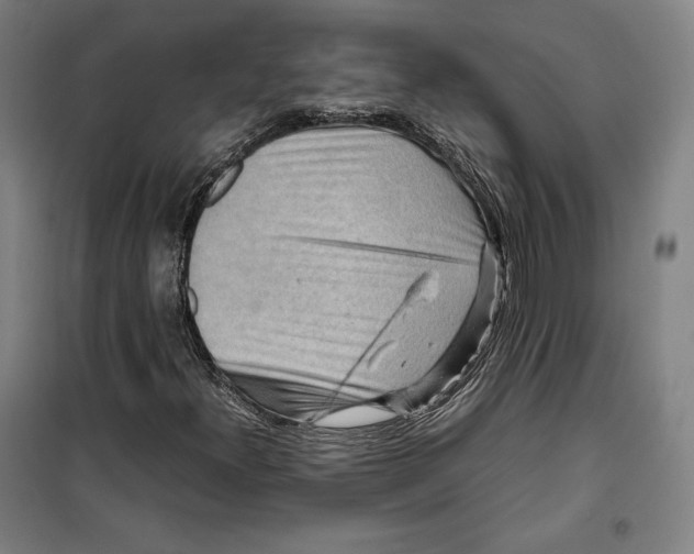 X0000099531300200806061422