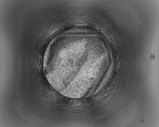 X0000099531301200806061422