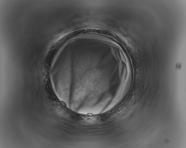 X0000099531303200806061422