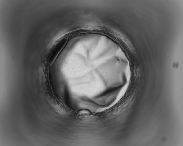 X0000099531304200806061422