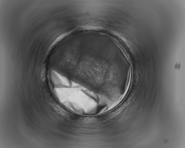 X0000099531306200806061422