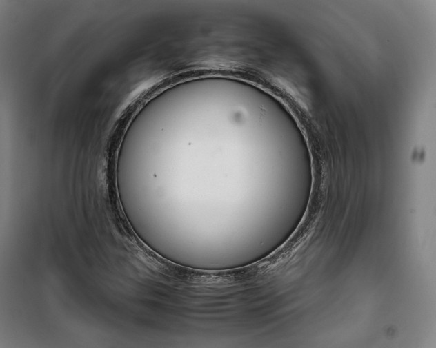 X0000099531307200806061422