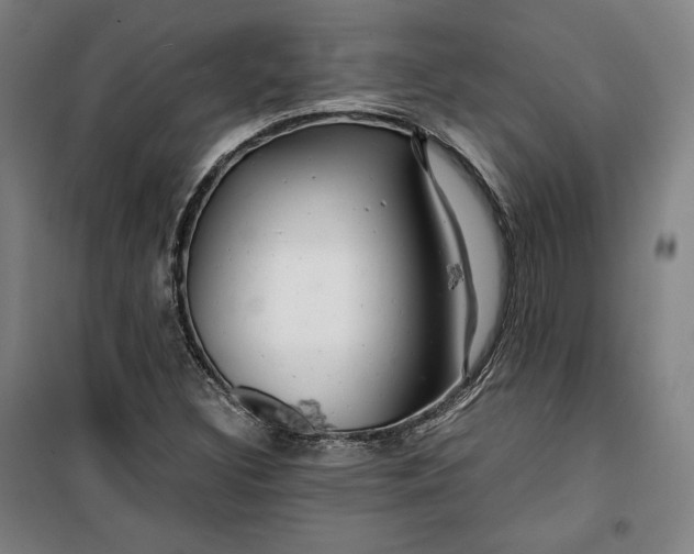 X0000099531308200806061422