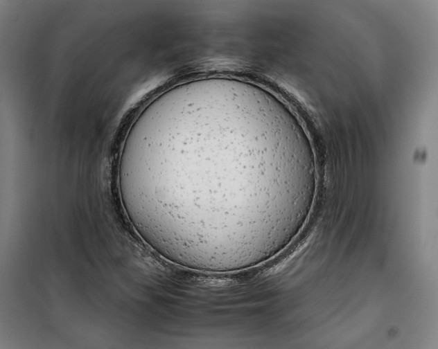 X0000099531309200806061422